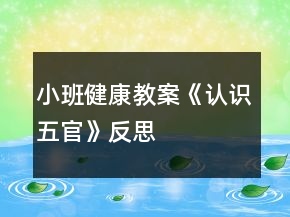 小班健康教案《认识五官》反思