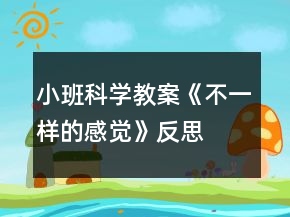 小班科学教案《不一样的感觉》反思