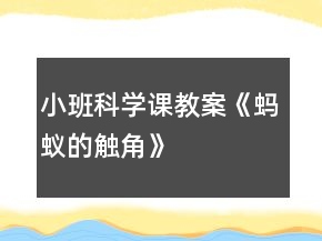 小班科学课教案《蚂蚁的触角》