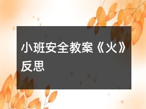 小班安全教案《火》反思