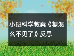 小班科学教案《糖怎么不见了》反思