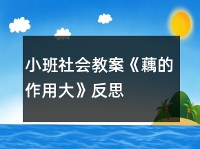 小班社会教案《藕的作用大》反思