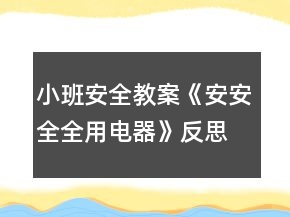 小班安全教案《安安全全用电器》反思