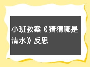 小班教案《猜猜哪是清水》反思