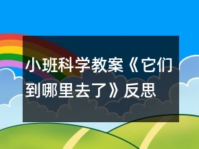 小班科学教案《它们到哪里去了》反思
