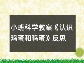 小班科学教案《认识鸡蛋和鸭蛋》反思