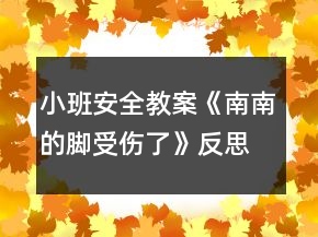 小班安全教案《南南的脚受伤了》反思