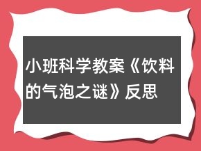 小班科学教案《饮料的气泡之谜》反思