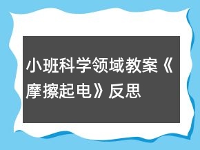小班科学领域教案《摩擦起电》反思