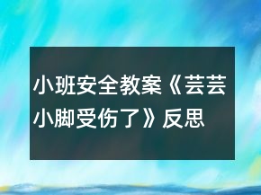 小班安全教案《芸芸小脚受伤了》反思