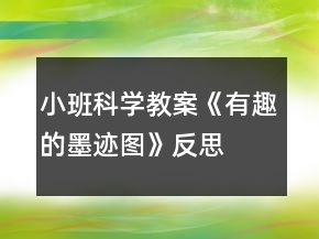 小班科学教案《有趣的墨迹图》反思