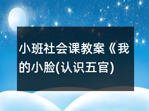 小班社会课教案《我的小脸(认识五官)》反思