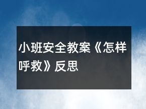 小班安全教案《怎样呼救》反思
