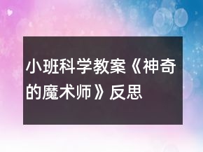 小班科学教案《神奇的魔术师》反思