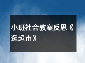 小班社会教案反思《逛超市》