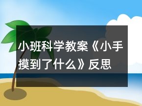 小班科学教案《小手摸到了什么》反思
