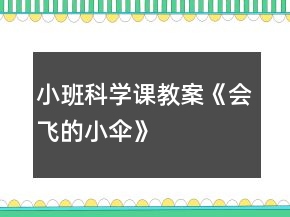 小班科学课教案《会飞的小伞》