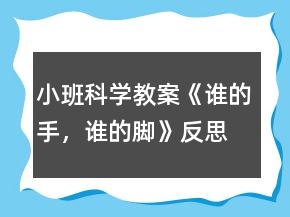 小班科学教案《谁的手，谁的脚》反思