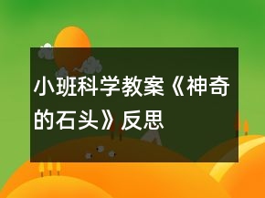 小班科学教案《神奇的石头》反思