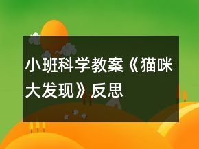 小班科学教案《猫咪大发现》反思