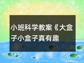 小班科学教案《大盒子、小盒子真有趣》反思