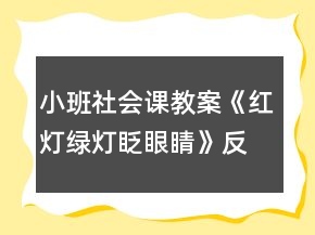 小班社会课教案《红灯绿灯眨眼睛》反思