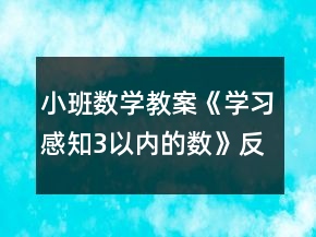 小班数学教案《学习感知3以内的数》反思