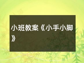 小班教案《小手小脚》