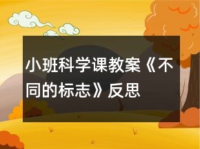 小班科学课教案《不同的标志》反思