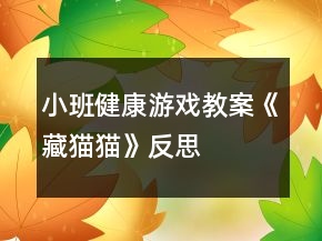 小班健康游戏教案《藏猫猫》反思