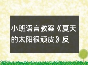 小班语言教案《夏天的太阳很顽皮》反思