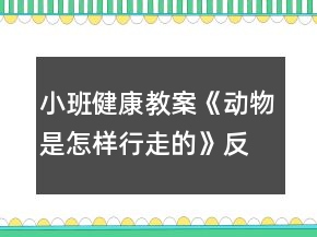 小班健康教案《动物是怎样行走的》反思