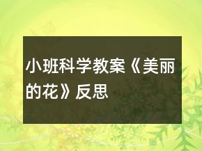 小班科学教案《美丽的花》反思