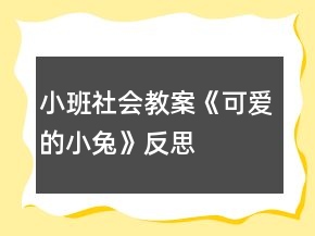 小班社会教案《可爱的小兔》反思