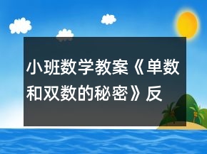 小班数学教案《单数和双数的秘密》反思