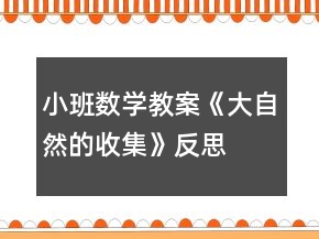 小班数学教案《大自然的收集》反思