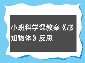 小班科学课教案《感知物体》反思