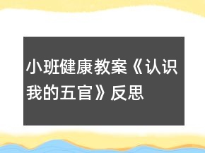 小班健康教案《认识我的五官》反思