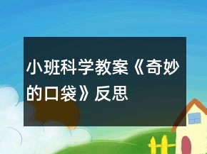 小班科学教案《奇妙的口袋》反思