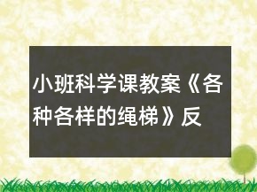 小班科学课教案《各种各样的绳梯》反思