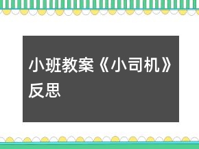 小班教案《小司机》反思