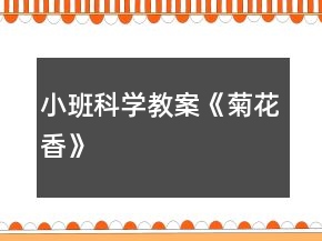 小班科学教案《菊花香》