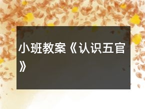 小班教案《认识五官》
