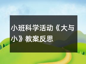小班科学活动《大与小》教案反思