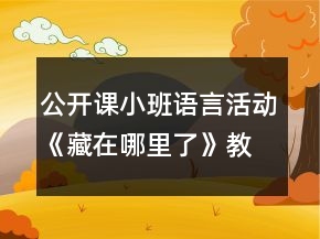 公开课小班语言活动《藏在哪里了》教案反思