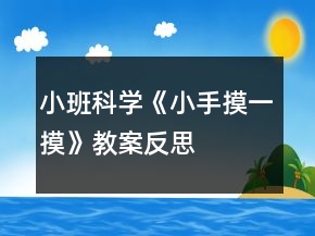 小班科学《小手摸一摸》教案反思