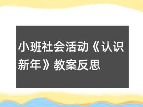 小班社会活动《认识新年》教案反思