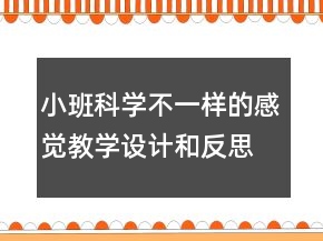 小班科学：不一样的感觉教学设计和反思