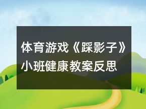 体育游戏《踩影子》小班健康教案反思