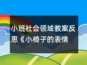 小班社会领域教案反思《小椅子的表情》